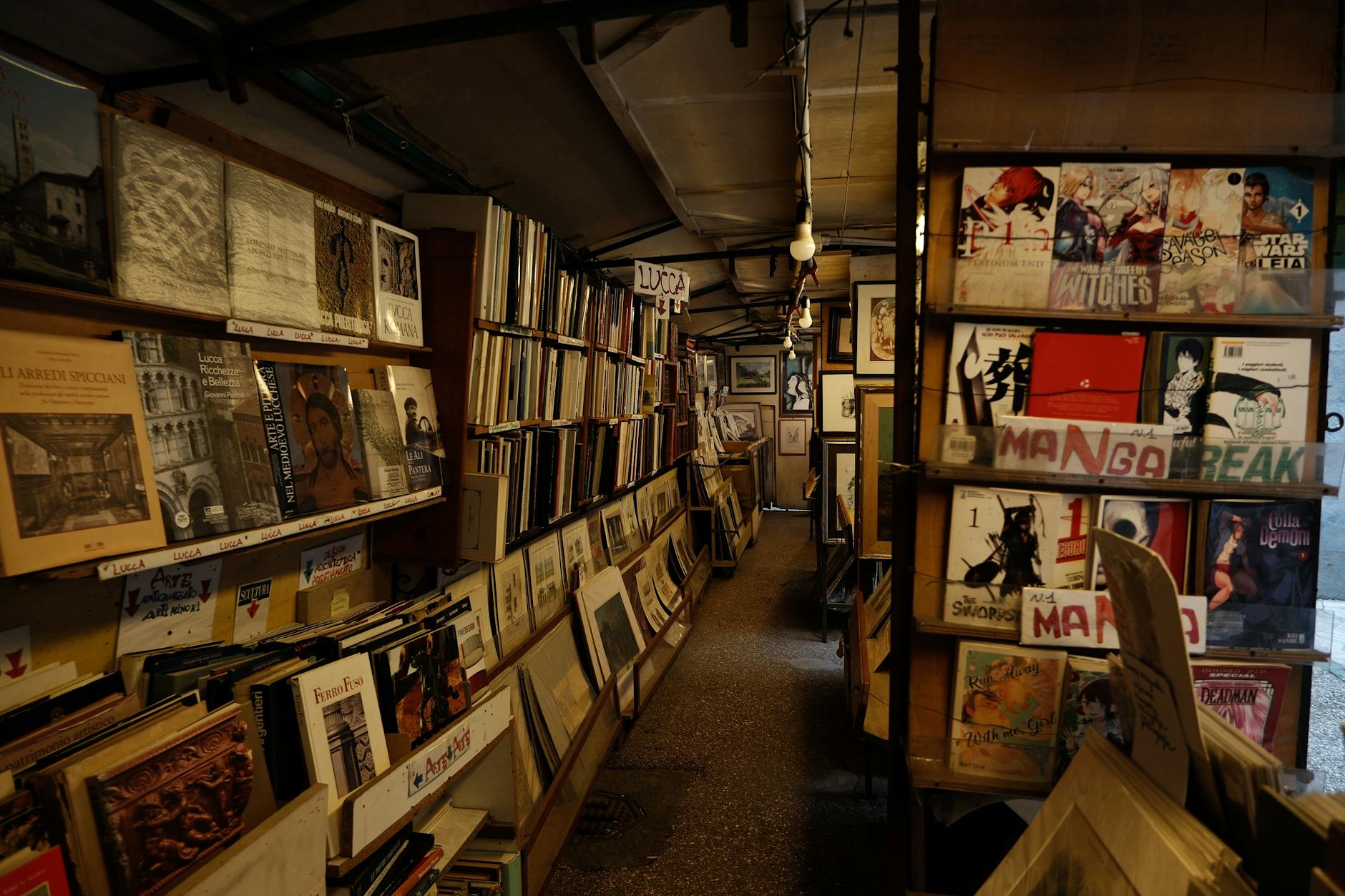 Przytulna księgarnia w Toskanii z półkami pełnymi mang i sztuki