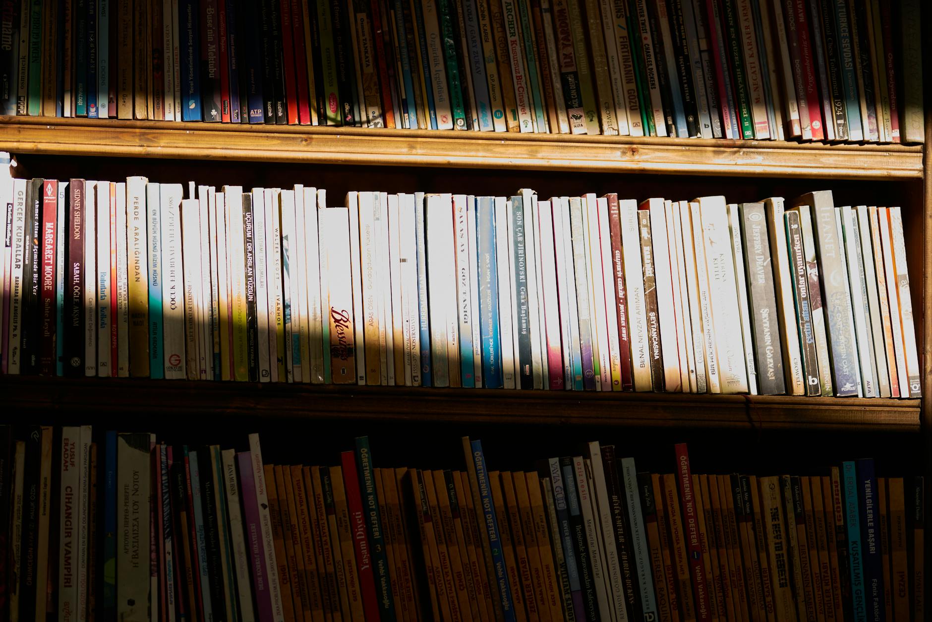 Półki biblioteczne z książkami oświetlone ostrym światłem słonecznym