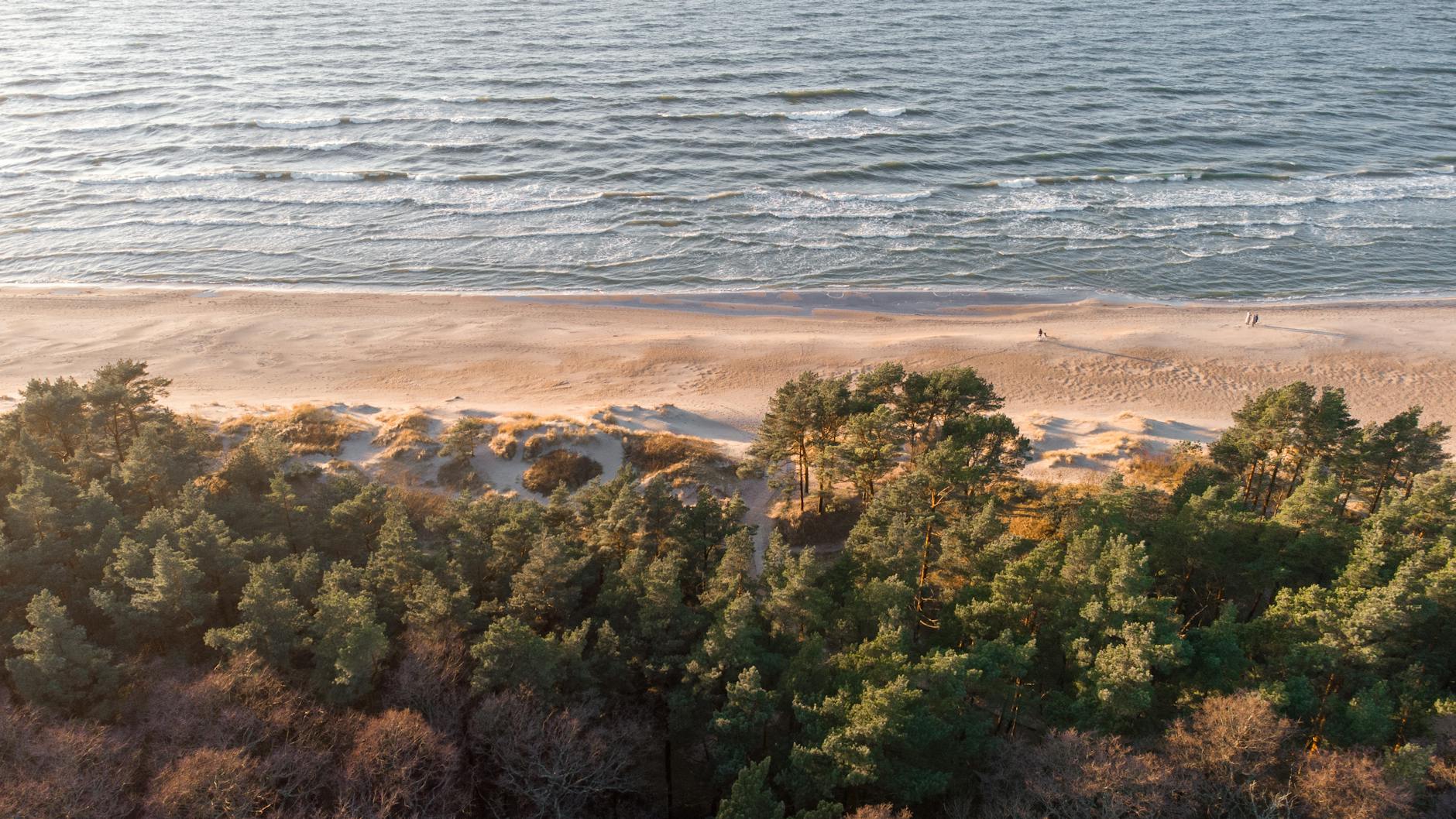 Widok z lotu ptaka na spokojną plażę i las nad Bałtykiem